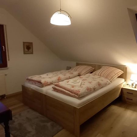 Апартаменти Ferienwohnnung Ruth - Familienurlaub Im Erzgebirge Langenbach  Екстер'єр фото