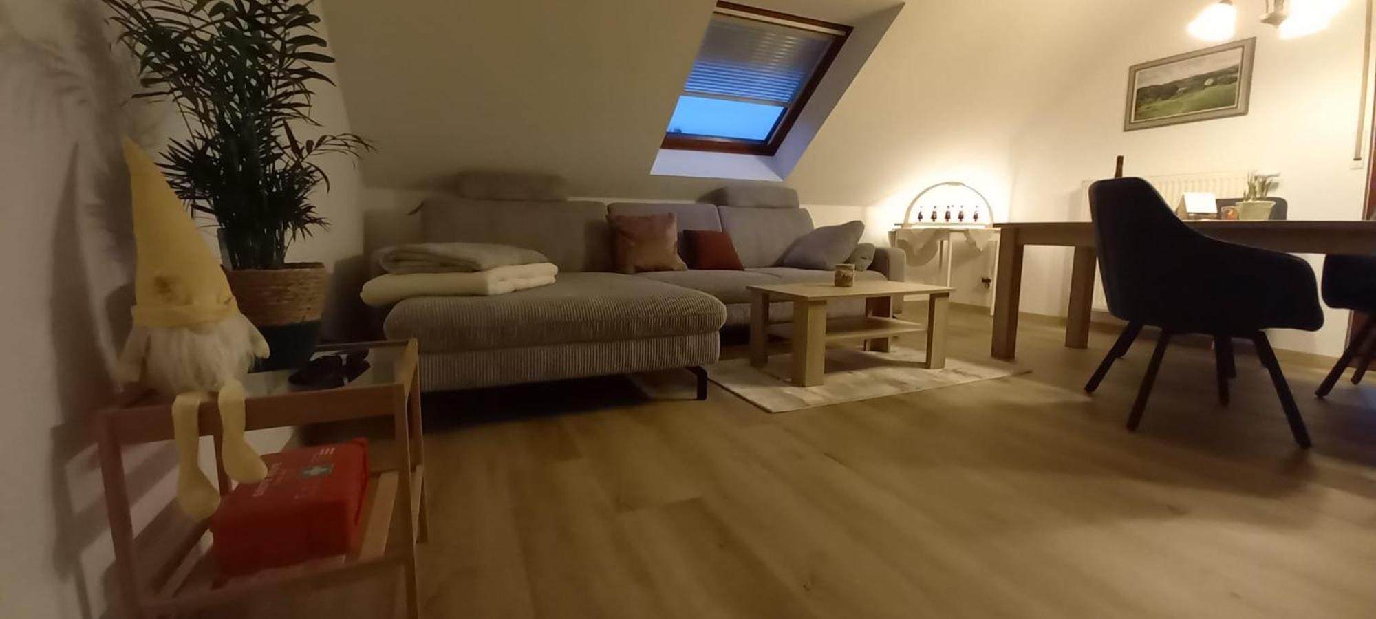 Апартаменти Ferienwohnnung Ruth - Familienurlaub Im Erzgebirge Langenbach  Екстер'єр фото