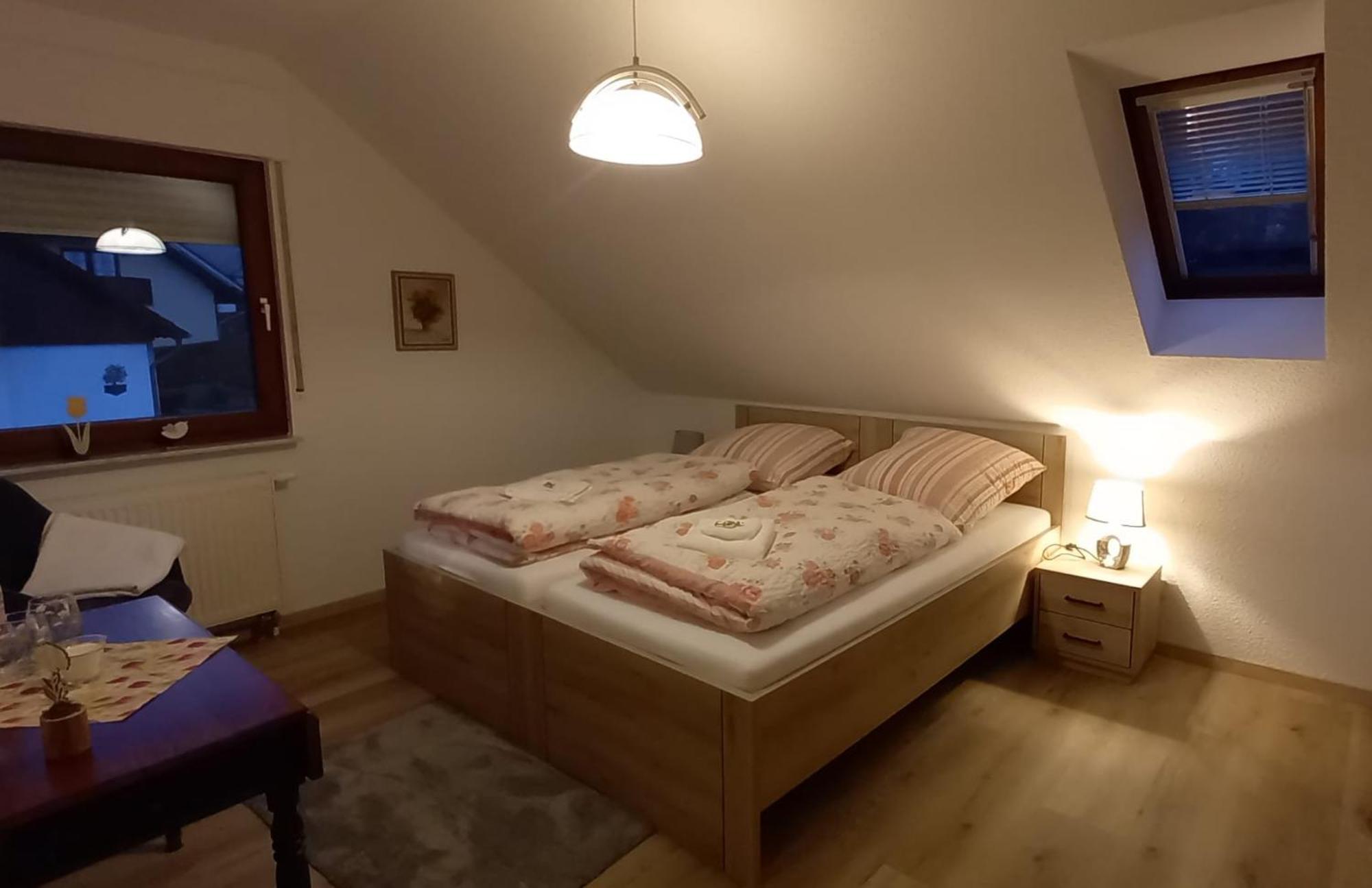 Апартаменти Ferienwohnnung Ruth - Familienurlaub Im Erzgebirge Langenbach  Екстер'єр фото